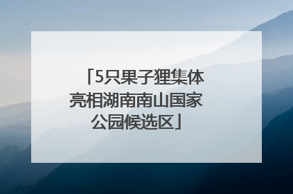 5只果子狸集体亮相湖南南山国家公园候选区