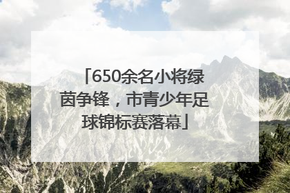 650余名小将绿茵争锋，市青少年足球锦标赛落幕