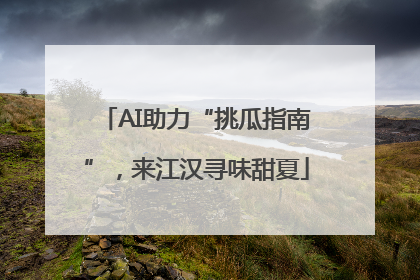 AI助力“挑瓜指南”，来江汉寻味甜夏