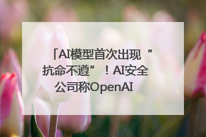 AI模型首次出现“抗命不遵”！AI安全公司称OpenAI o3模型出现异常