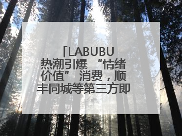 LABUBU 热潮引爆 “情绪价值” 消费，顺丰同城等第三方即配乘风而起