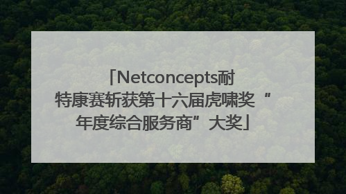 Netconcepts耐特康赛斩获第十六届虎啸奖“年度综合服务商”大奖