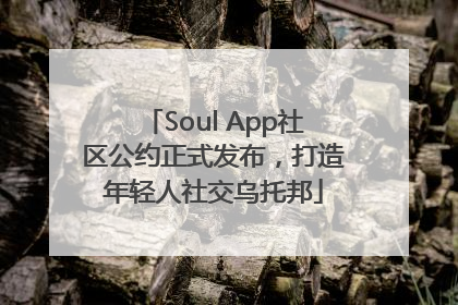 Soul App社区公约正式发布，打造年轻人社交乌托邦