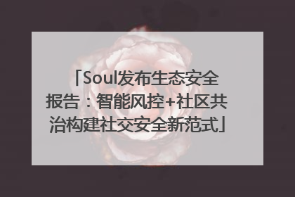 Soul发布生态安全报告：智能风控+社区共治构建社交安全新范式